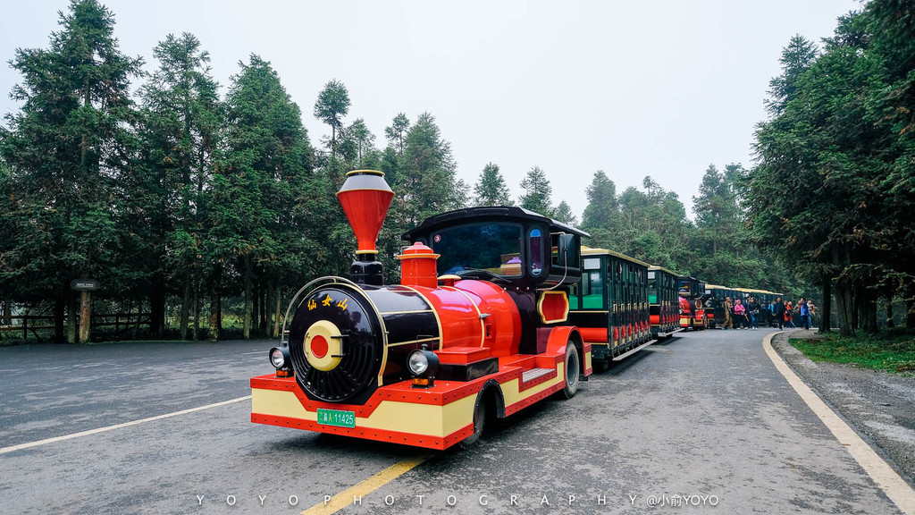 乘坐可爱的小火车游览仙女山,仙女山草原是重庆十佳旅游景点,站在33