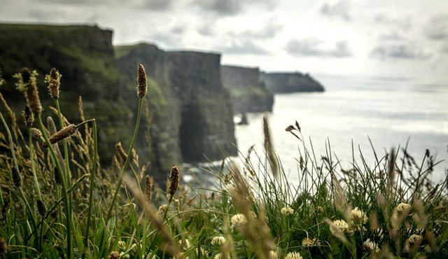 英国爱丁堡+约克+伦敦+牛津+德国柏林14日12