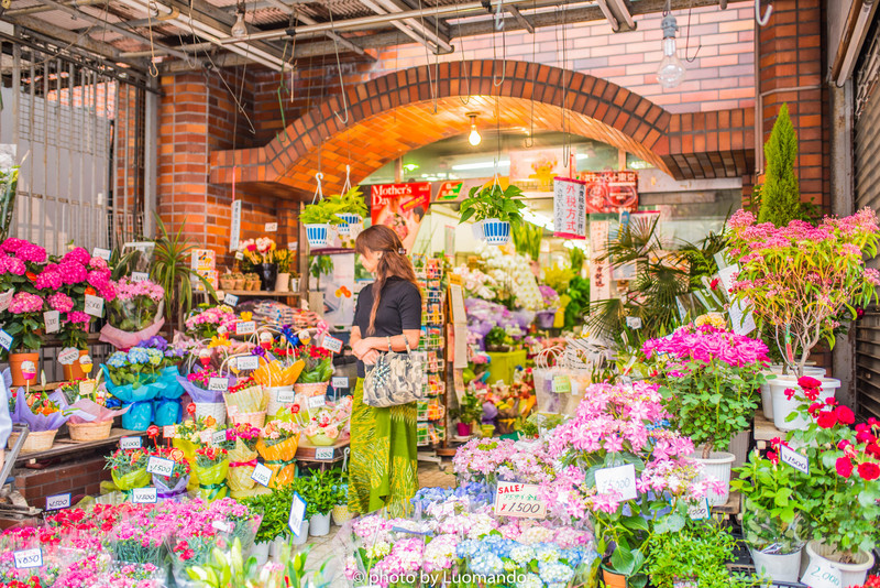 去地铁的路上发现一家花店,感觉特别浪漫.
