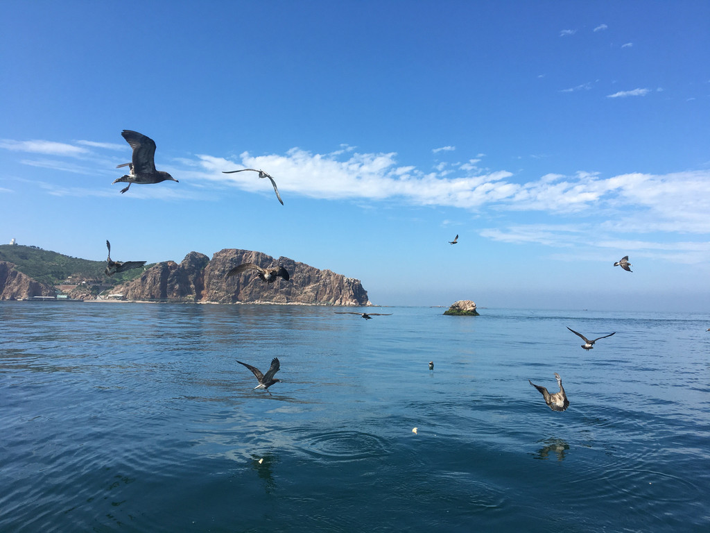 海驴岛