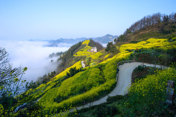 不负春光,不说再见—歙县花季