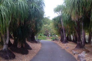 布里斯班 - 澳大利亚自由行之 冬季也温柔篇