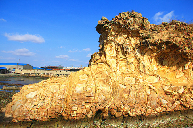 集海蚀柱,海蚀纹,海蚀浮石为一体的海上奇石-荣成俚岛花斑彩石