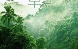 珠海东坑公园天气预报,历史气温,旅游指数,东坑