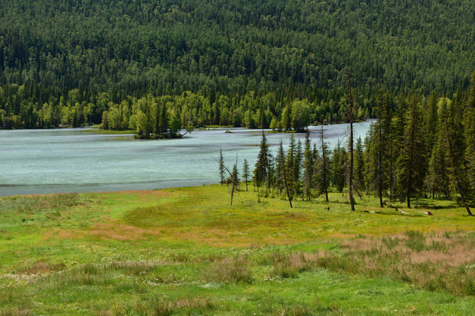 2016北疆喀纳斯8日自驾游最佳路线推荐 - 哈巴