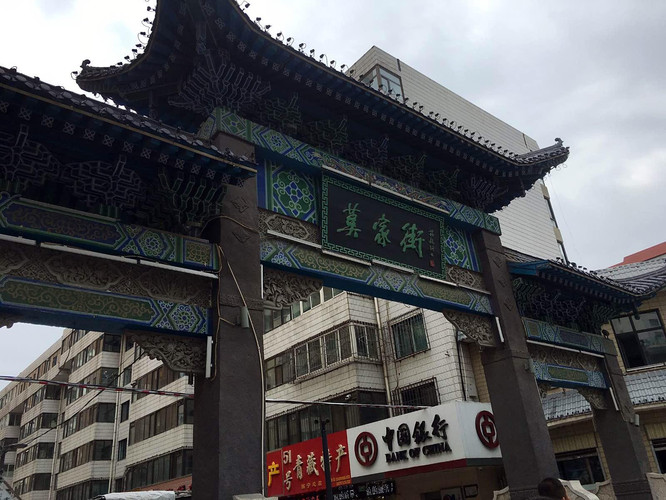 门源-莫家街-曹家堡机场 旅行最后一天,门源的油菜花海已经凋谢,由于