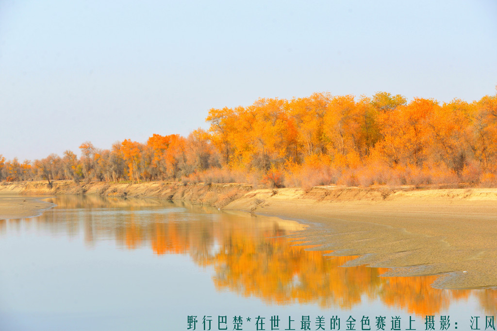叶尔羌河下游就变成了塔里木河图片