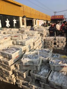【携程攻略】启东吕四港水产品交易市场图片,启东吕四港水产品交易市