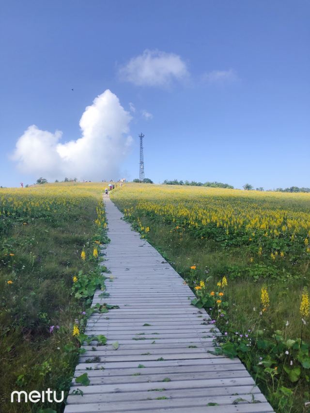 历山舜王坪景区