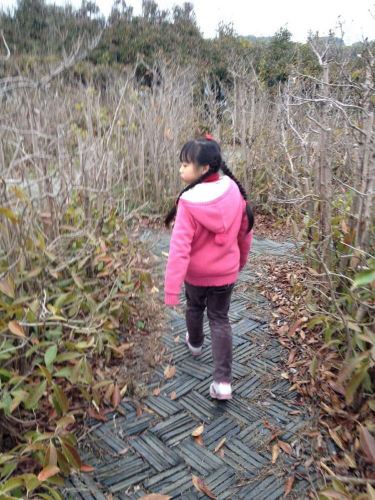 心细#加油站# - 上海游记攻略【携程攻略】