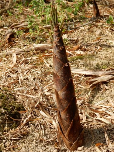 五一宁波慈溪自驾游 - 宁波游记攻略