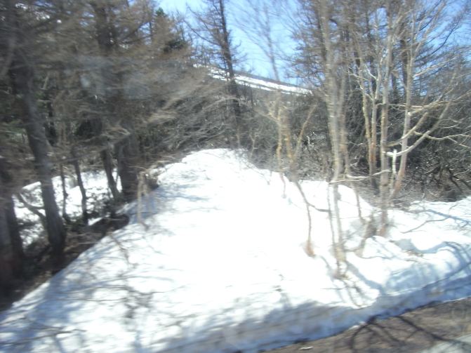 走马观花谈日本---一个老人眼中的日本 - 日本游