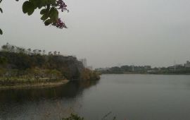 广州花都湖公园天气预报,历史气温,旅游指数,花