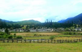 林芝鲁朗五寨天气预报,历史气温,旅游指数,鲁朗