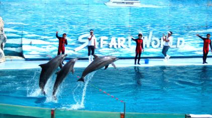 曼谷铂尔曼皇权酒店2晚+曼谷野生动物世界(野生动物园+海洋公园)一日游·酒店套餐Pullman Bangkok King Power -【携程自由行景酒套餐】