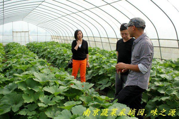 南京蔬菜采摘园 体验采摘味之源药膳养生种植园