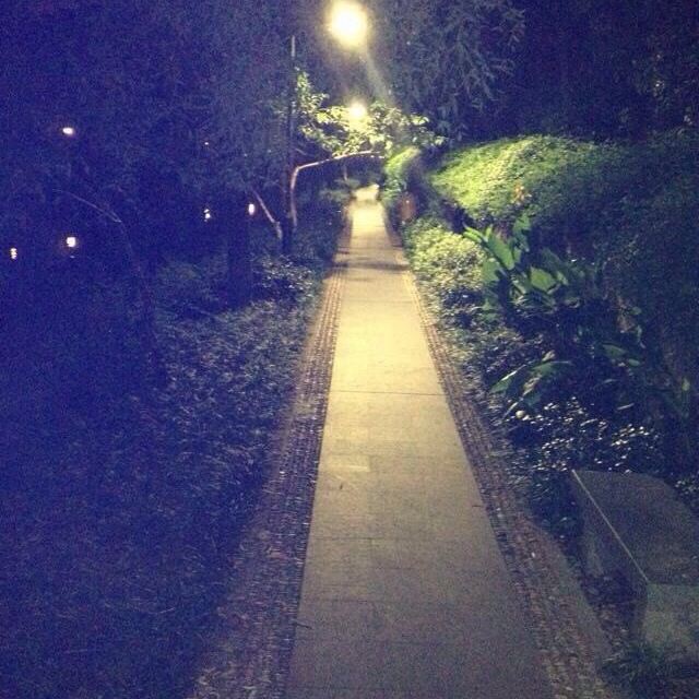 半夜哥自己疯狂,一个人走在林荫路上,看电影,逃票