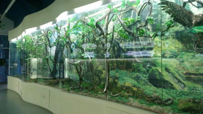 天生桥,官门山,神农坛,这些景点和昨天的一起付