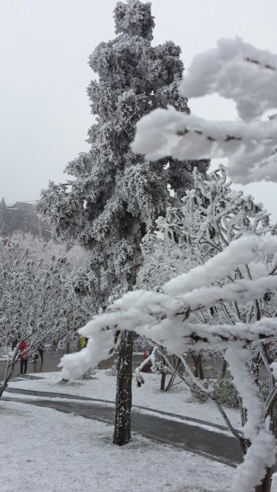 随手拍#庐山雪景 - 庐山游记攻略【携程攻略】