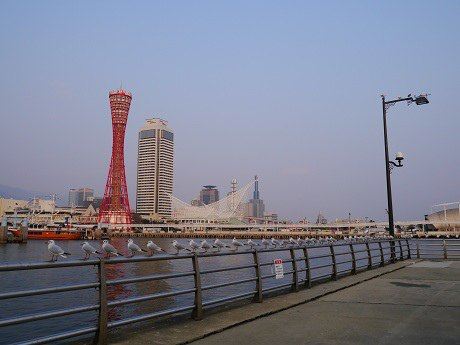 神户一日游 - 神户游记攻略【携程攻略】