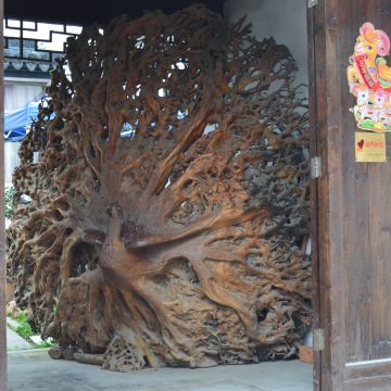 孔雀神木 携程网