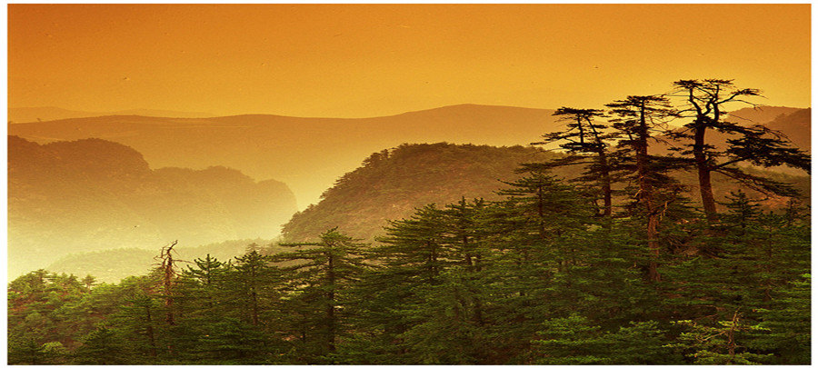 贵清山旅游风景区