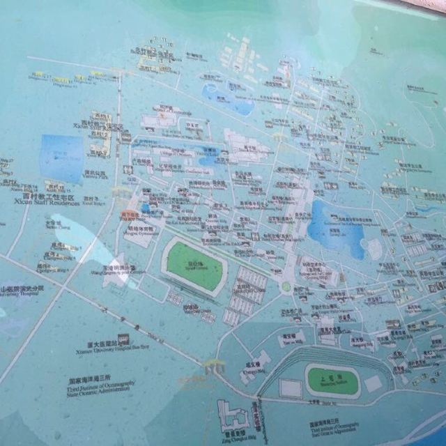 从南普陀寺往回走又来到了厦大,排队进厦大