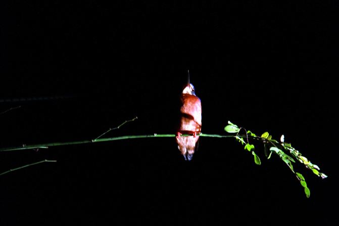 上山下海入丛林,大马不走寻常路--丛林篇 - 吉隆坡游记攻略【携程攻略】