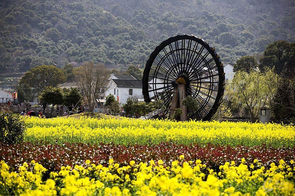 踏青舟山干施岙