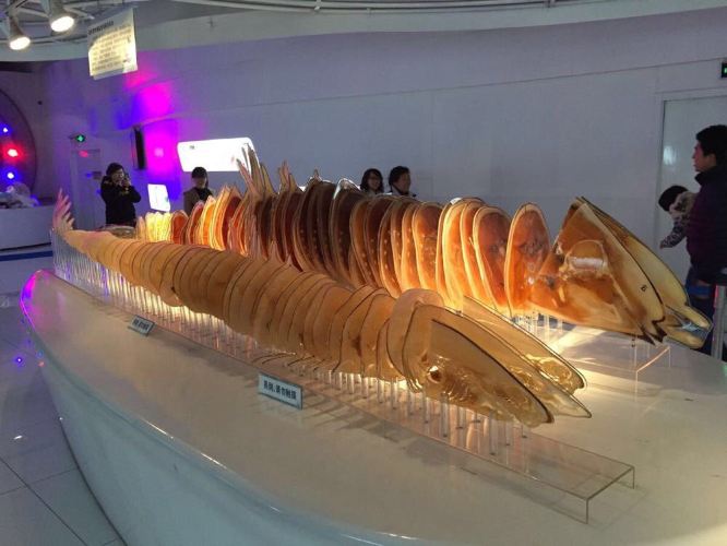 大连自然博物馆、圣亚海洋世界 - 大连游记攻略