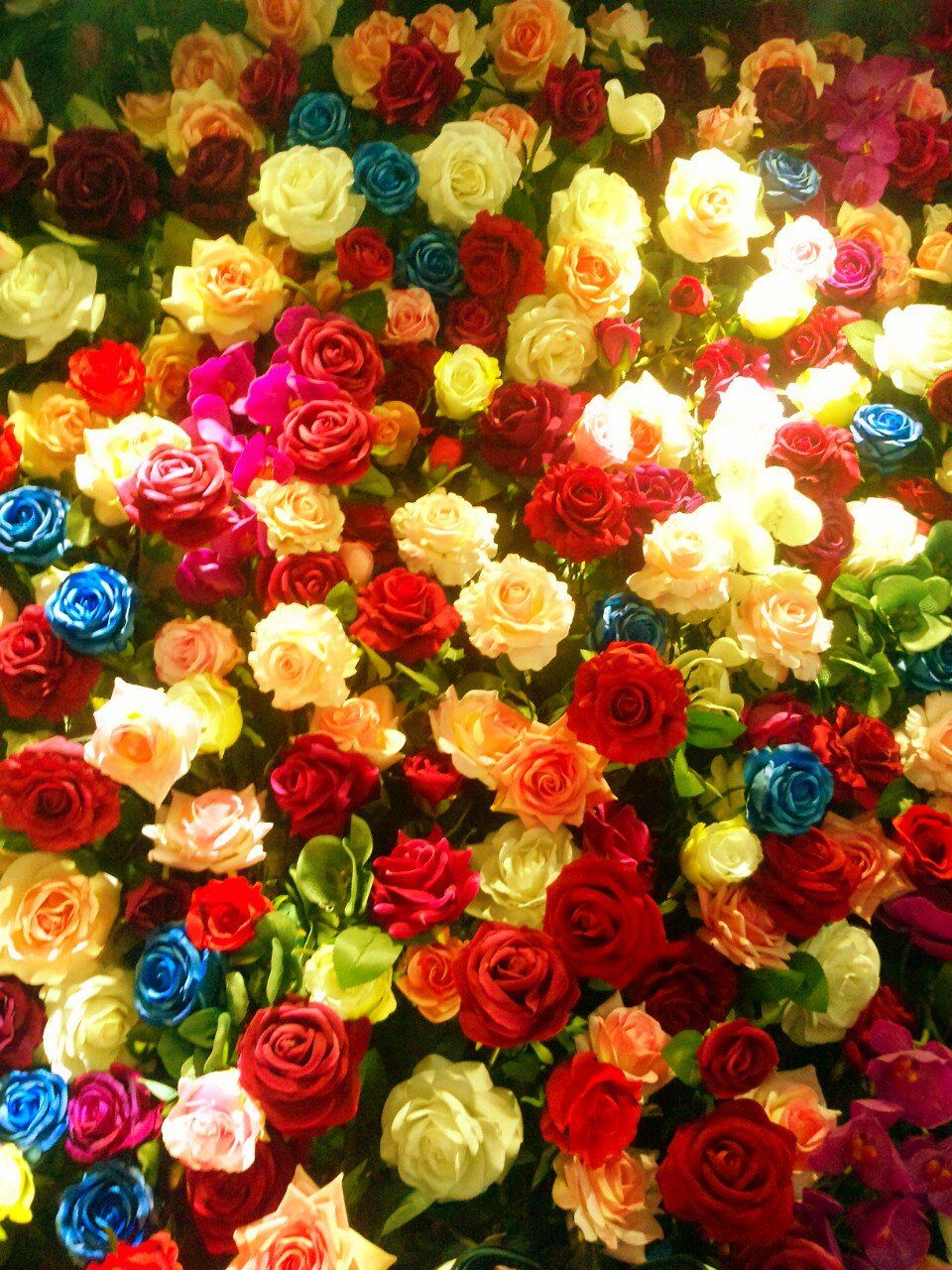 玫瑰玫瑰我爱你 - 上海游记攻略