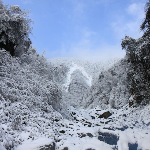 美丽彭州红岩山雪景冰瀑