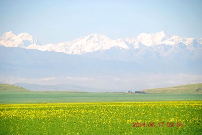 六月的新疆美得一塌糊涂(2014年6月新疆中部