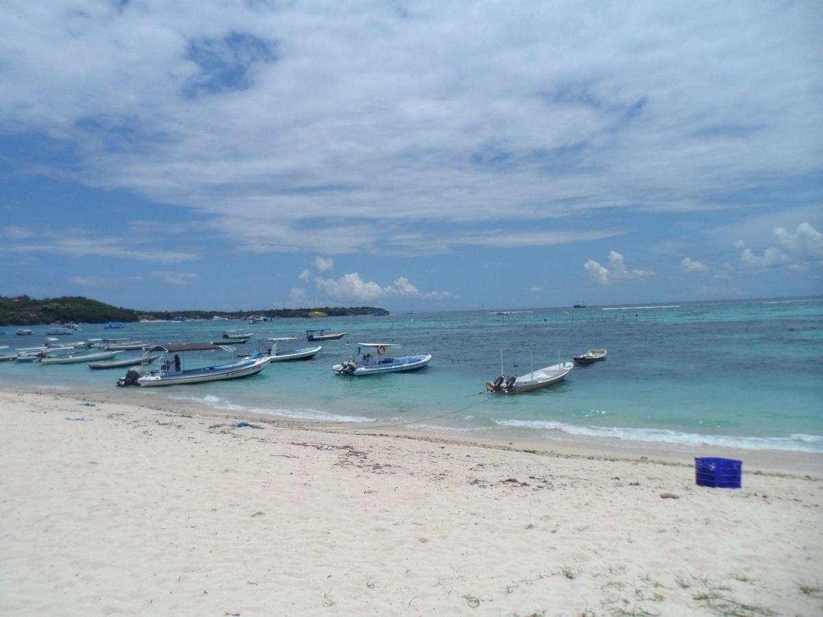 巴厘岛5日跟团游(3钻)·蓝梦游轮 无边泳池 梯