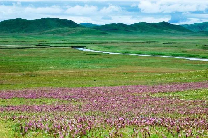 成都出发 红原九曲花湖3日游 - 若尔盖游记攻略