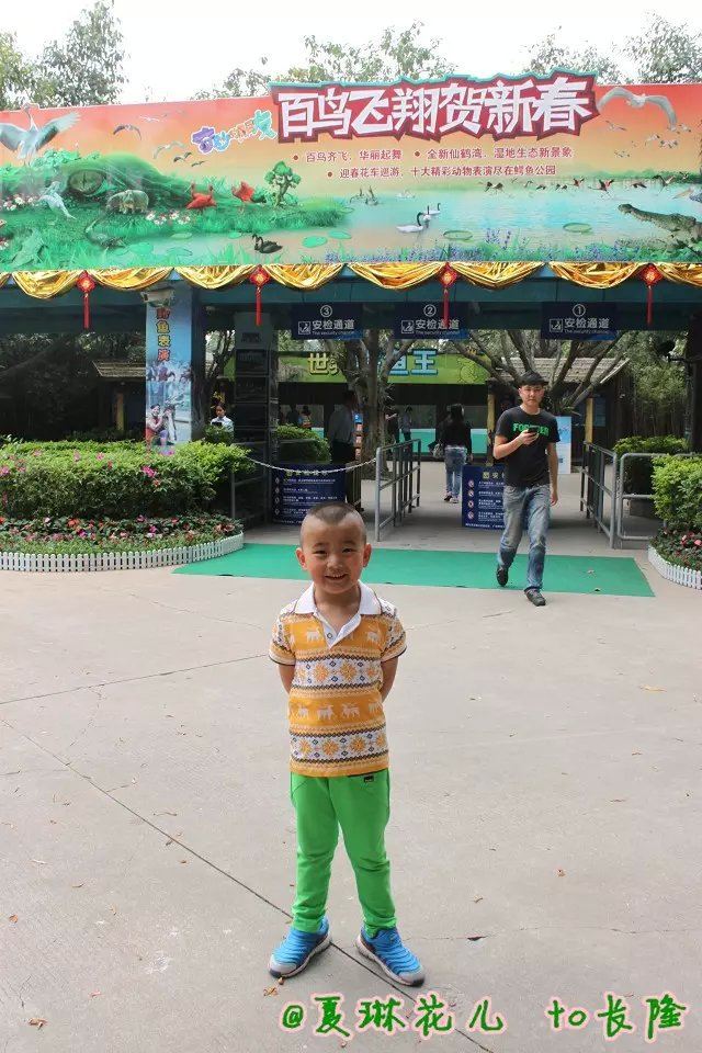 【大脚小脚一起走之广州长隆】:玩在鳄鱼公园