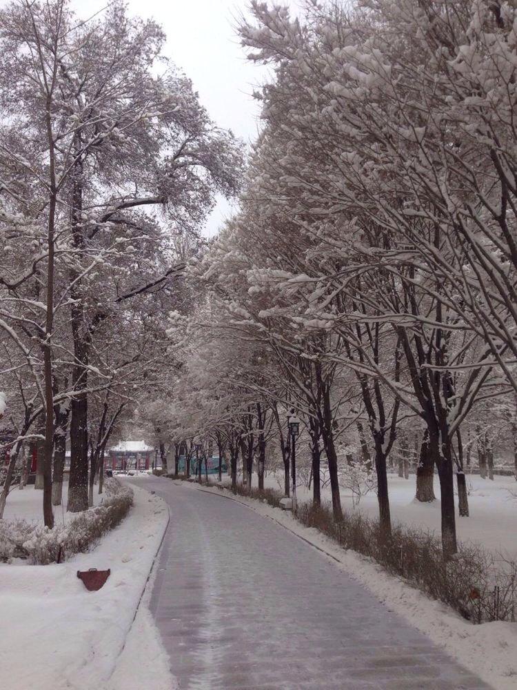 愚人节的新疆大雪 - 乌鲁木齐游记攻略【携程攻略】