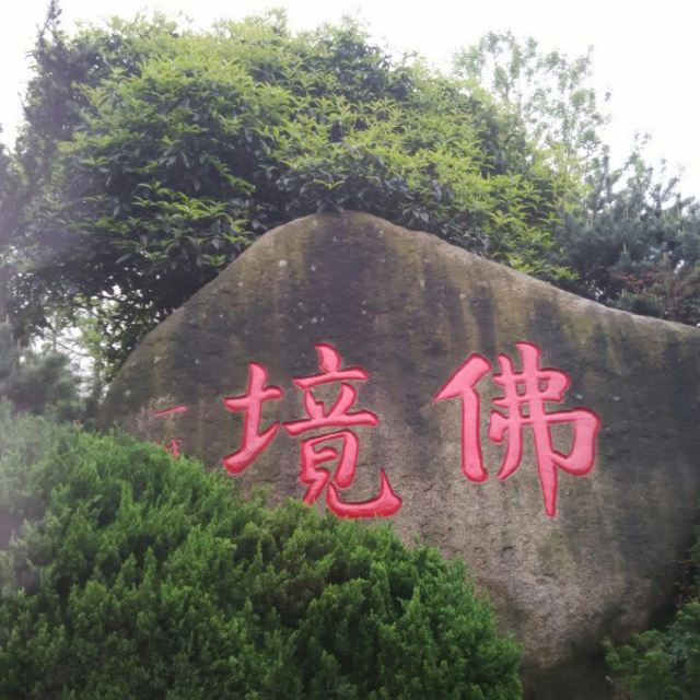 ¯