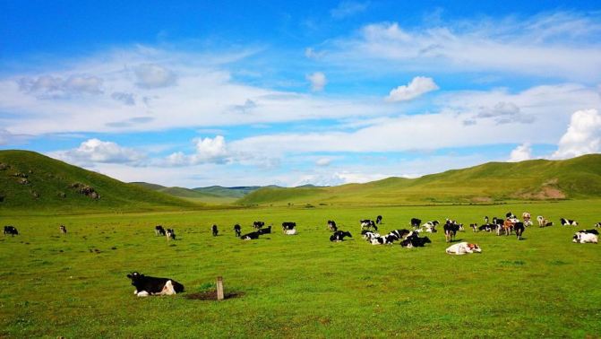 谁见过梦中的草原梦中的河 - 呼伦贝尔游记攻略