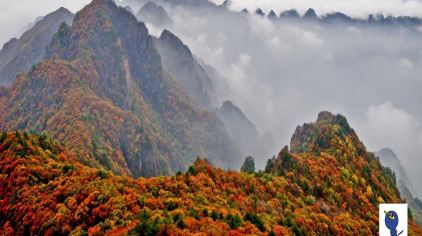 周边精选酒店1晚+沁水历山国家森林公园门票