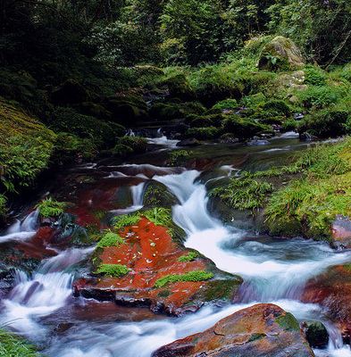 探索之心--张家界国家森林公园行走攻略 - 武陵