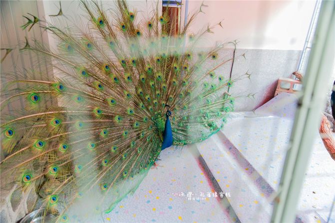 【慵懒在路上】* 大理(古城、桃源、海舌、双廊