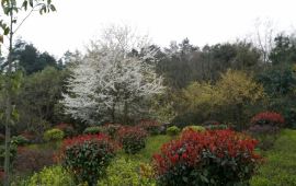 贵阳鹿冲关森林公园天气预报,历史气温,旅游指