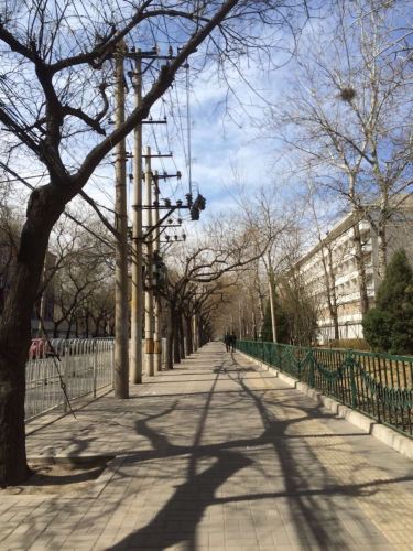 北京四天自由行 - 北京游记攻略