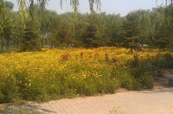 秀水公园,鹿泉秀水公园攻略\/地址\/图片\/门票