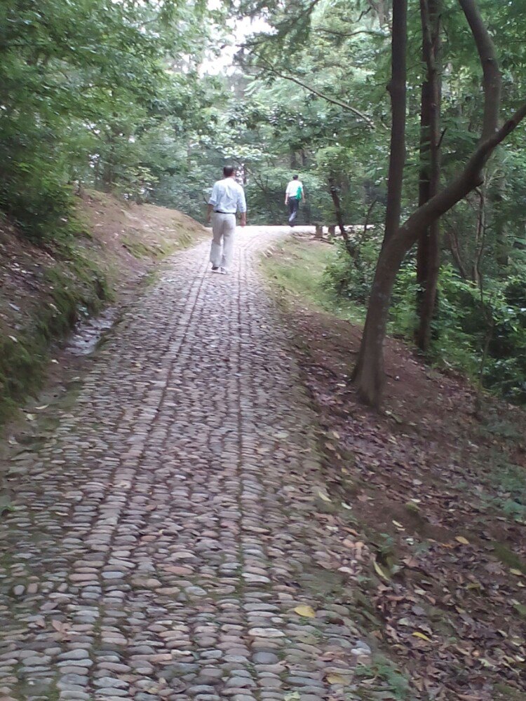 6月12日,跃龙山公园半日游!