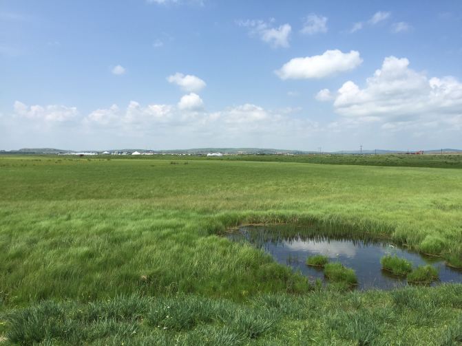 心中那自由的世界,如此的清澈高远.2015年7月