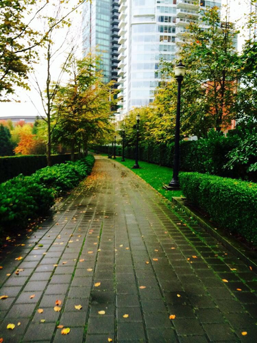 女汉纸闯天下之加拿大温哥华 - 温哥华游记攻略