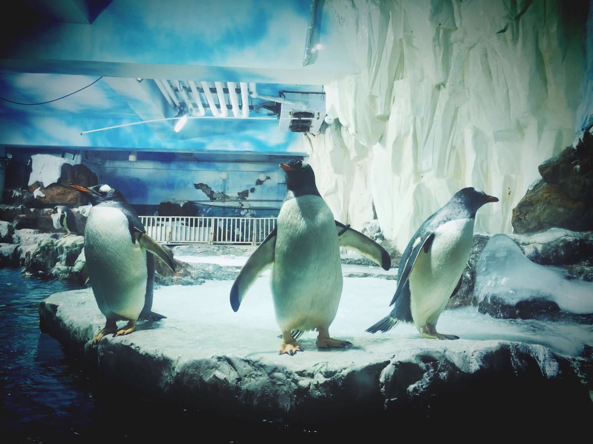 长沙海底世界图片_纵览新闻