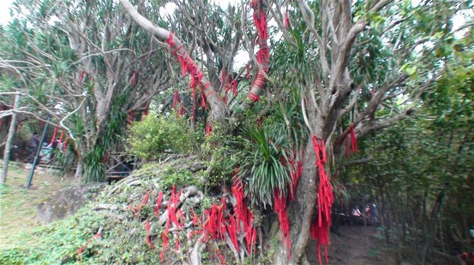 [原创] 登大小洞天之鳌山金顶。2次海南10. - 